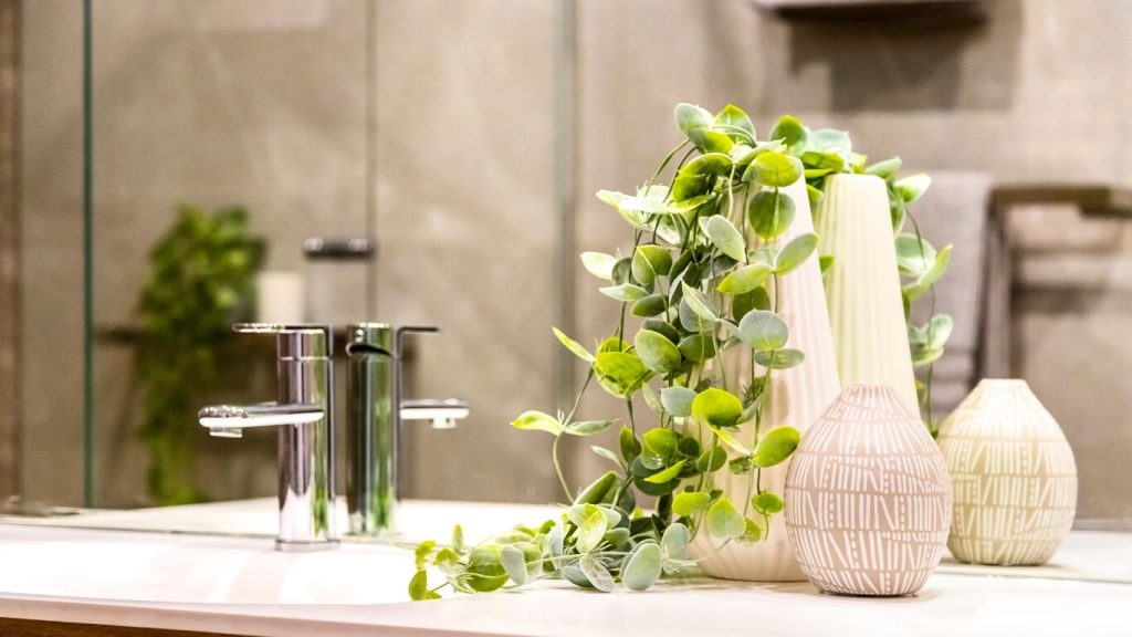 Bathroom decor idea